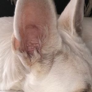 Meet your Posher, Brad